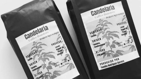 Candelaria Coffee Roast's banner